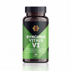 Synchrovitals 6 nový 2024
